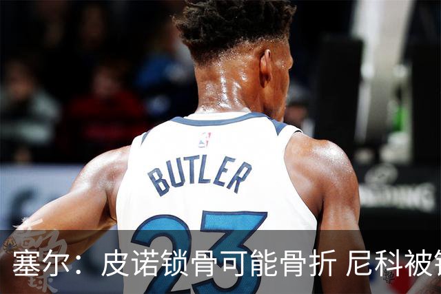塞尔：皮诺锁骨可能骨折 尼科被铲伤可能提前结束世界杯之旅