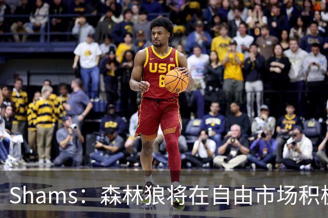 Shams：森林狼将在自由市场积极补强4号位 但他们只能提供底薪